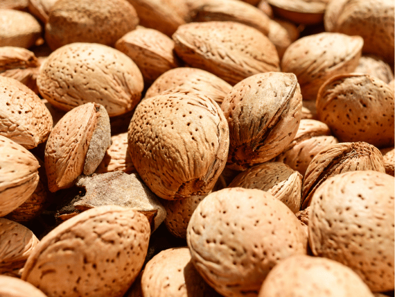 Premium Kashmiri Almonds - Kagzi Shell | Nutritious Snack and Cooking Ingredient